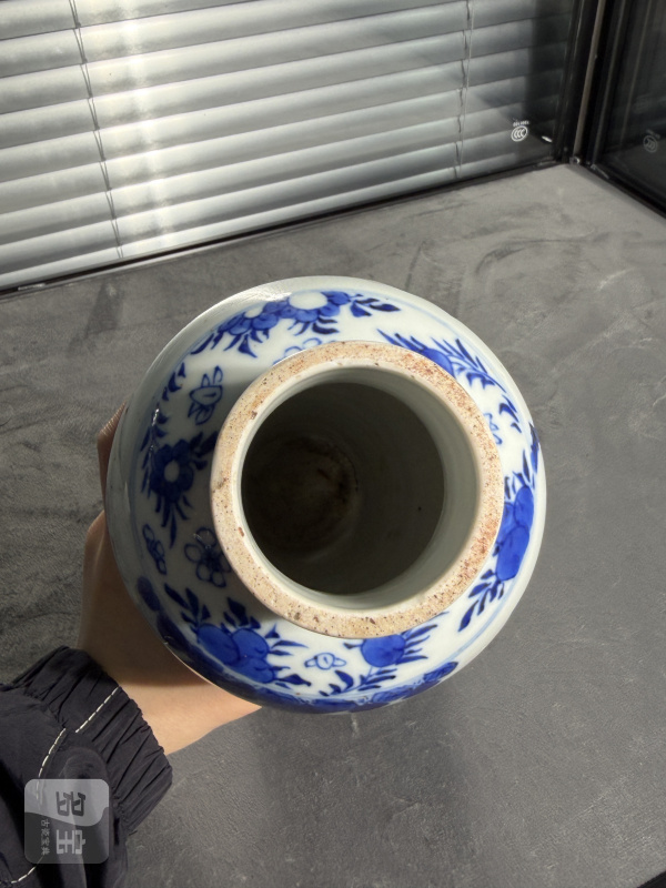 清光绪青花雉鸡牡丹纹梅瓶 - 图10